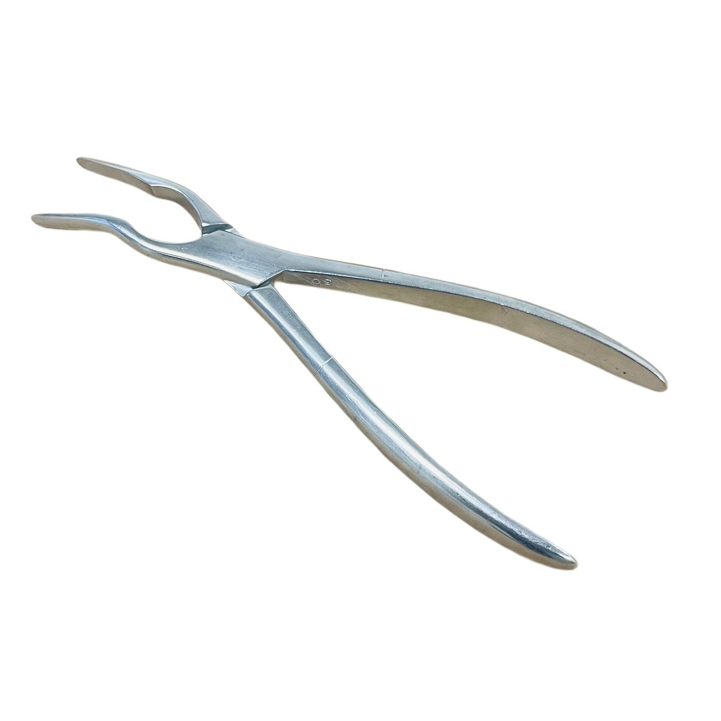 W.Lorenz REF 02-0077 ASCH SEPTUM STRAIGHTENING FORCEPS, 22.5cm