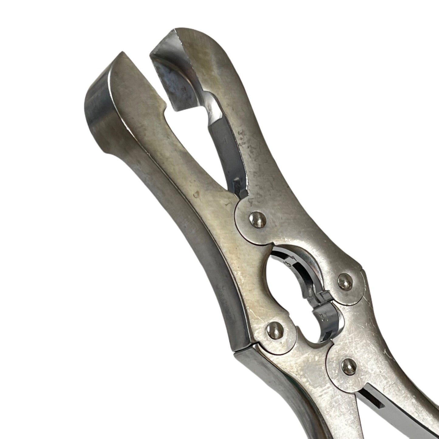 V. MUELLER CH-584 Sauerbruch rib rongeur forceps Double-action. Square jaws 12in
