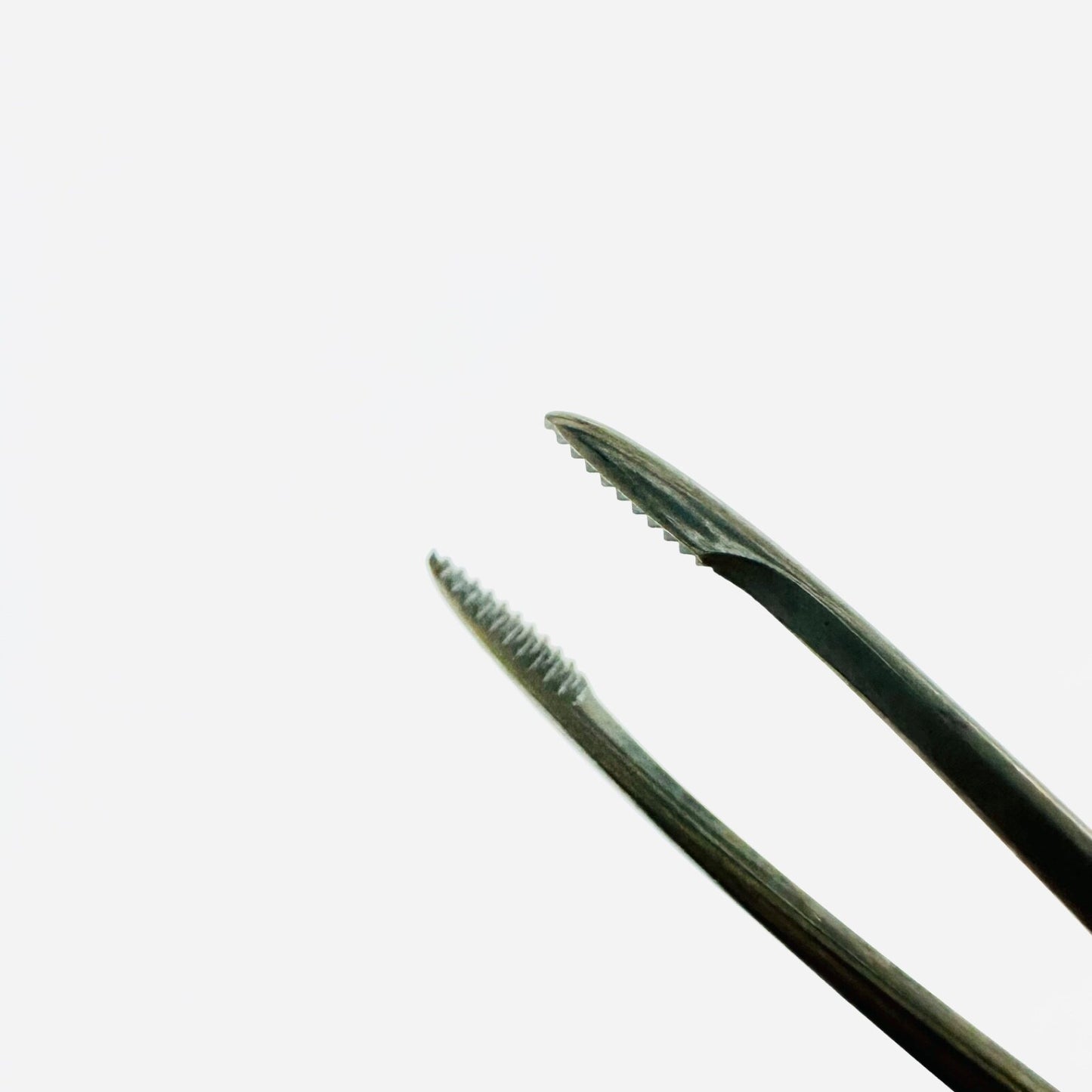 V. Mueller AU6150 Ear Forceps Delicate, Serrated Cup 8 1/2 Inch instrument