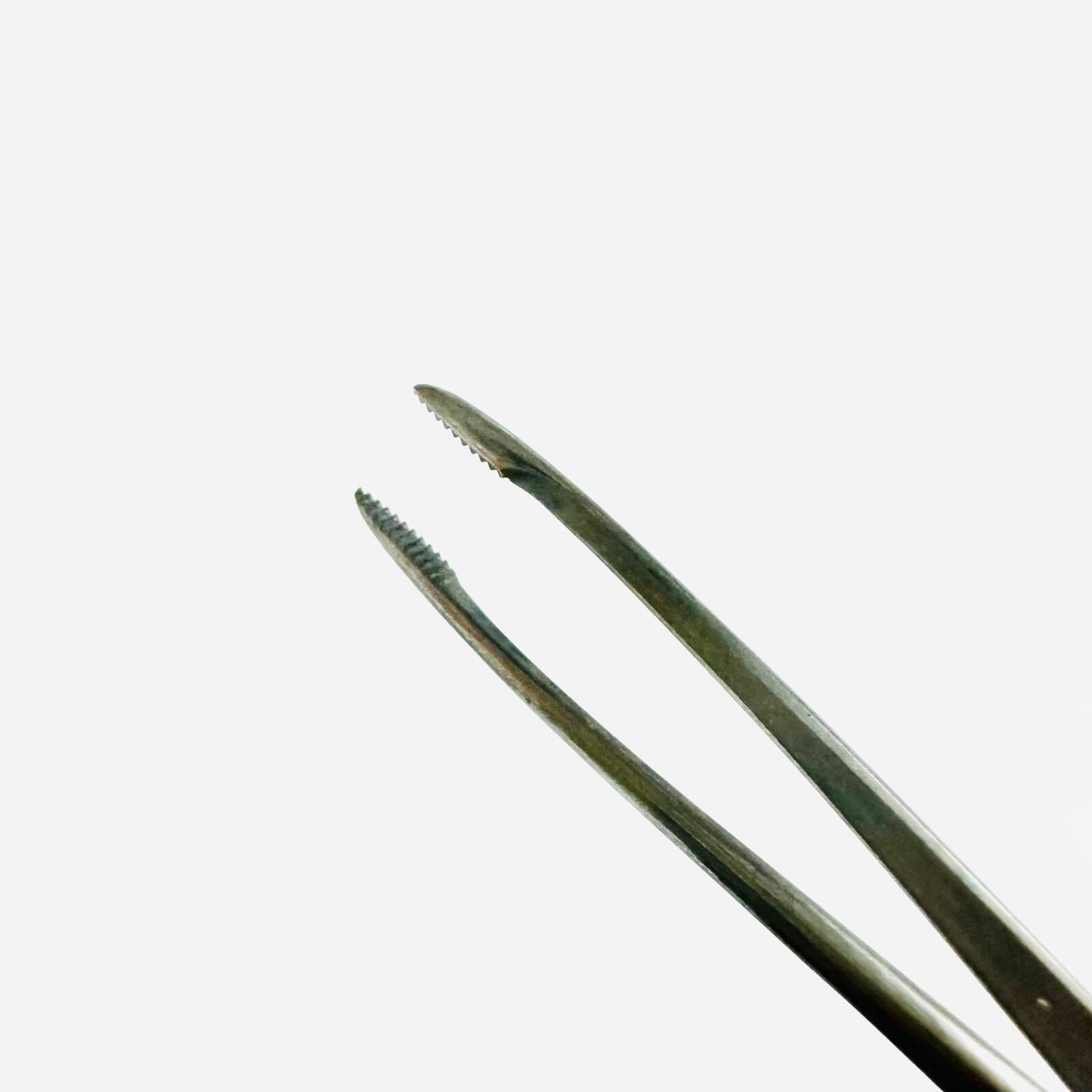 V. Mueller AU6150 Ear Forceps Delicate, Serrated Cup 8 1/2 Inch instrument