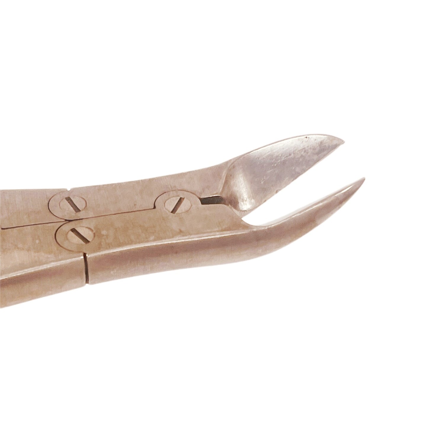 Bone Cutting Forceps Curved Tip