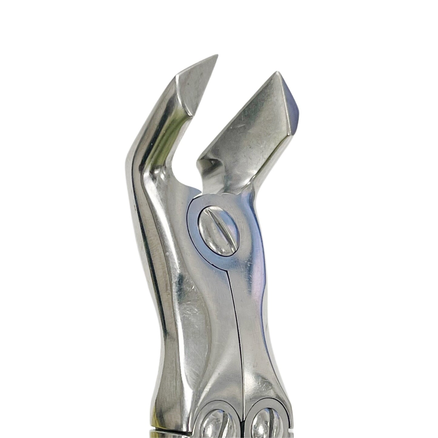 Bone Cutting Rounger