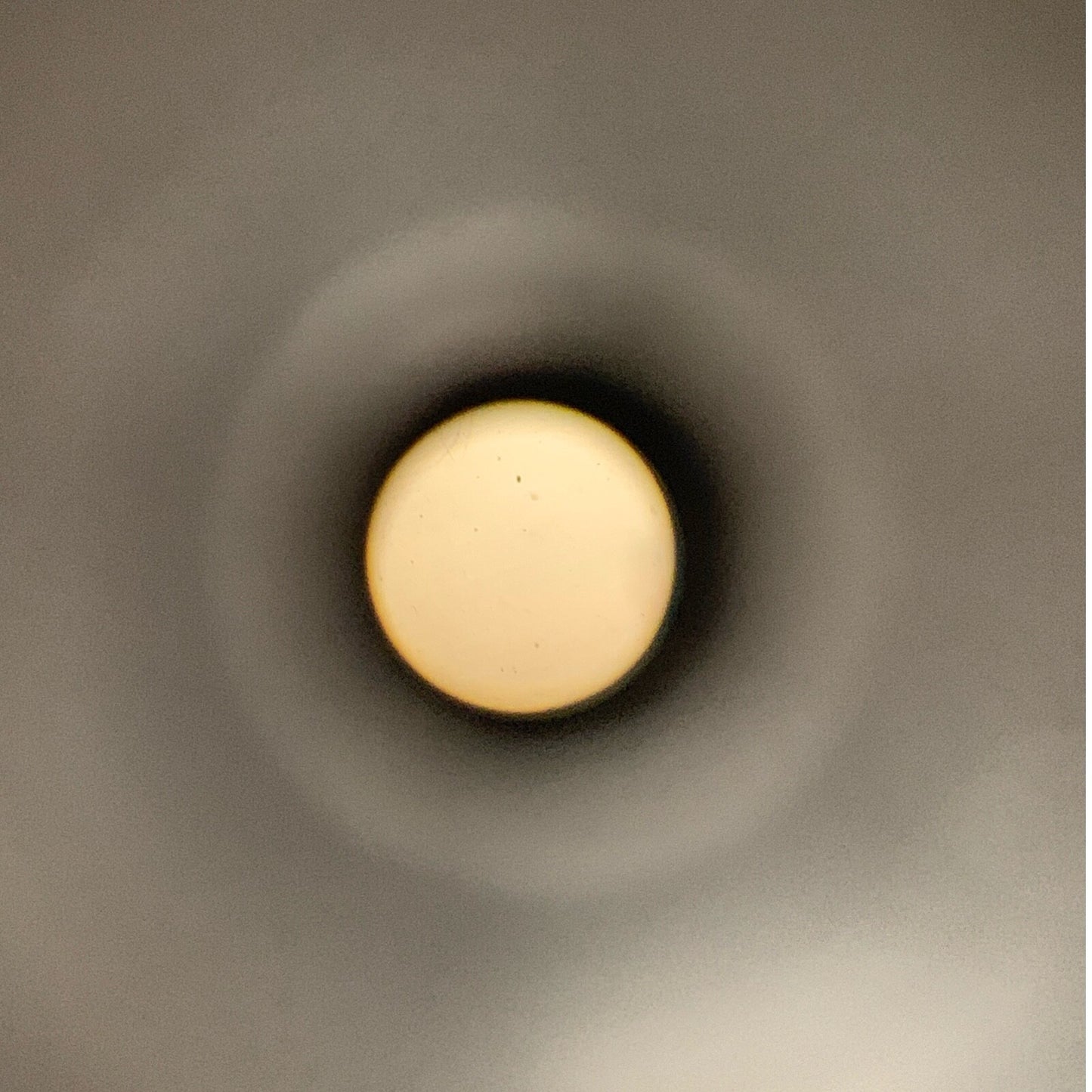 American Cystoscope Makers REF FO-8168M, 30 Degree Cystoscope