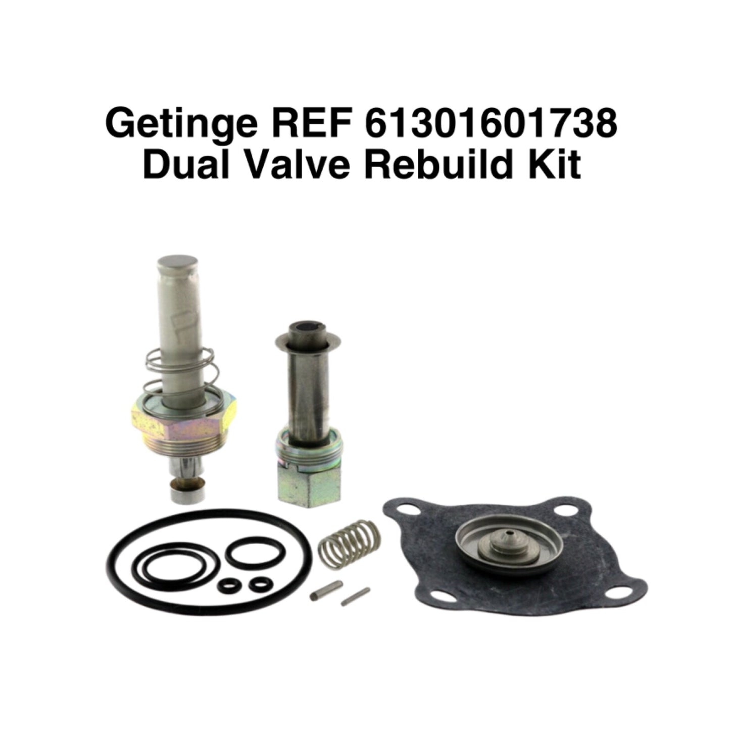 Getinge REF 61301601738 Dual Valve Rebuild Kit