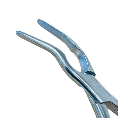 W.Lorenz REF 02-0077 ASCH SEPTUM STRAIGHTENING FORCEPS, 22.5cm