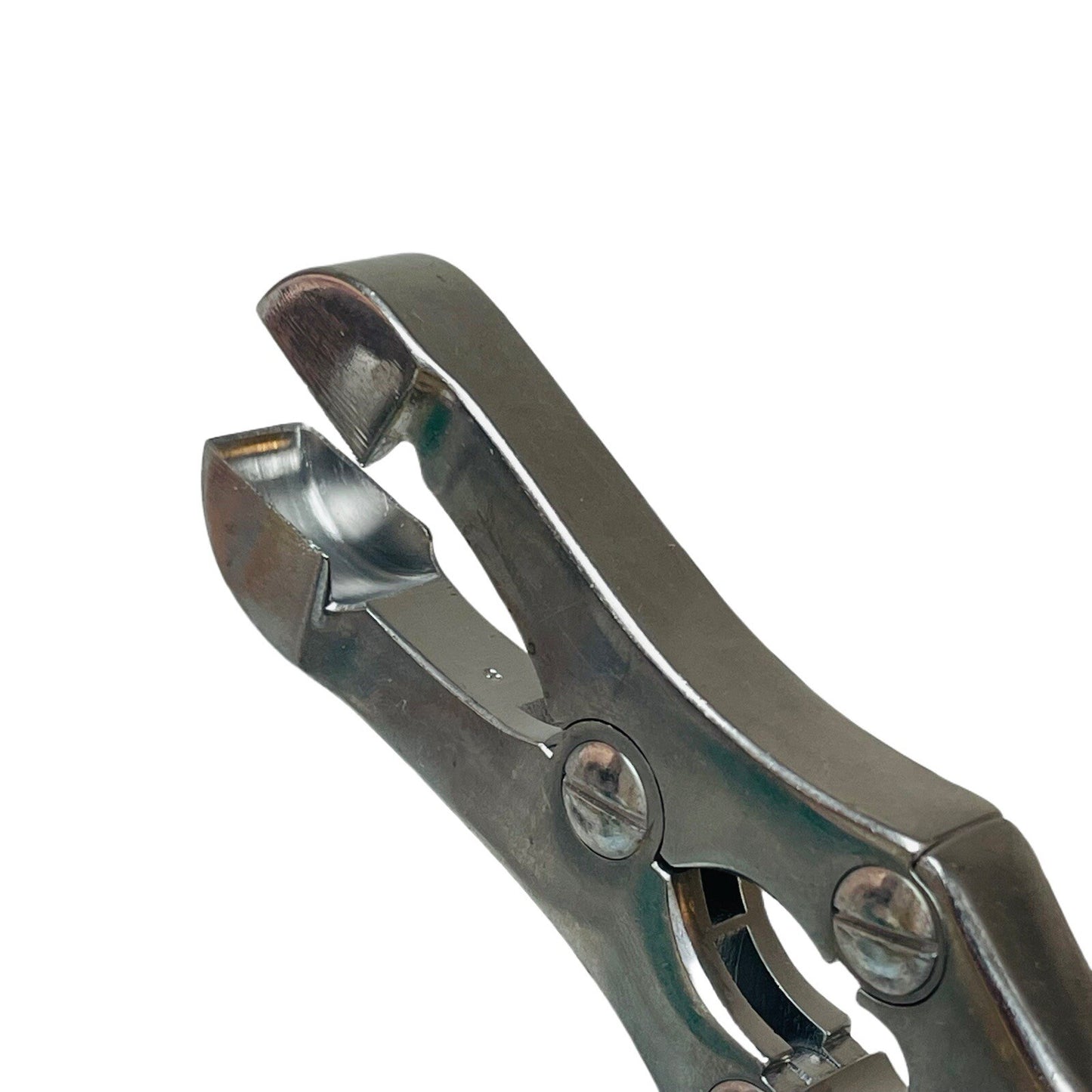 V Mueller CH-560 Sauerbruch Rib Rongeur Forceps, Length 12in, Straight Jaws