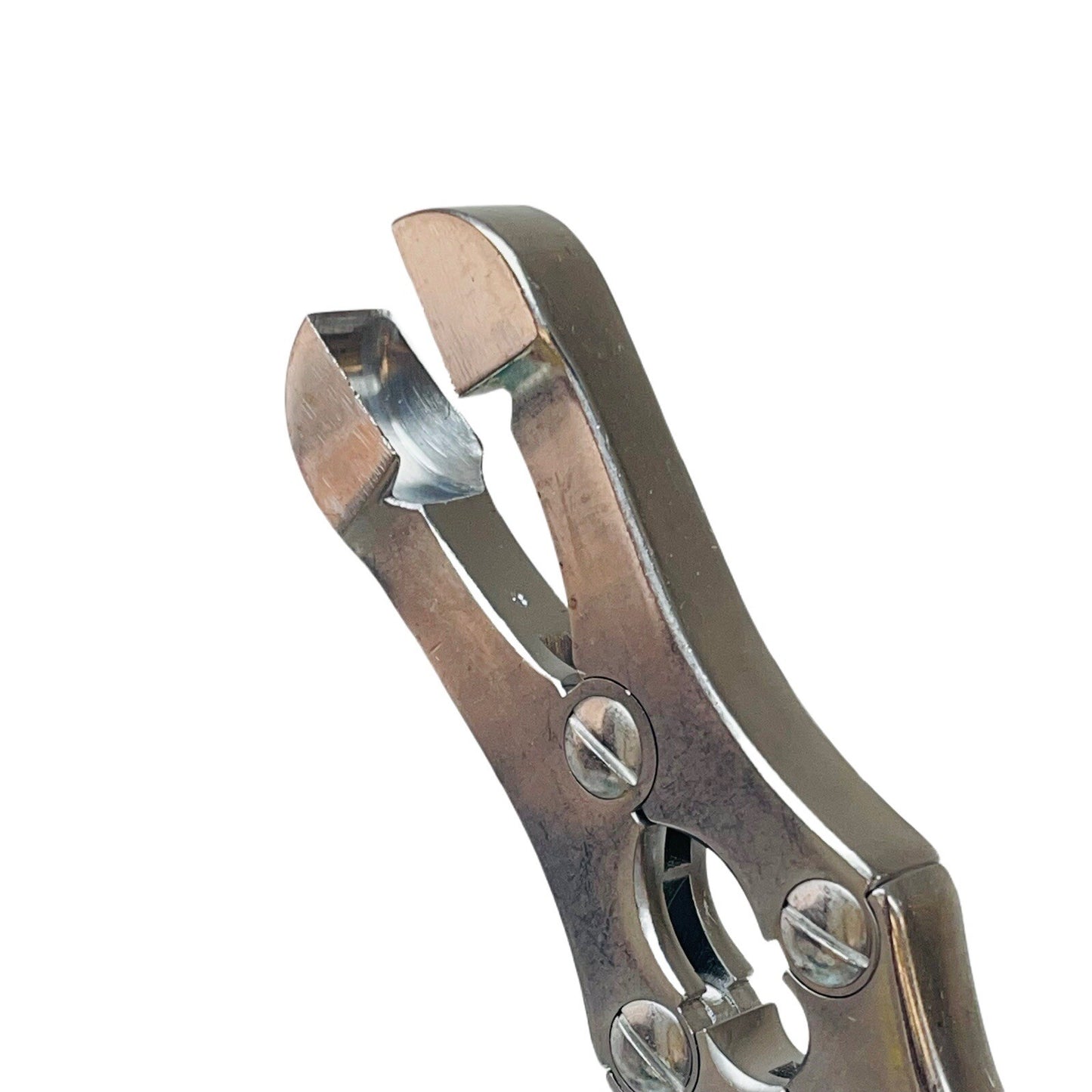 V Mueller CH-560 Sauerbruch Rib Rongeur Forceps, Length 12in, Straight Jaws