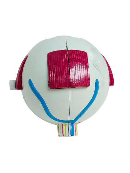 Human Eye Ball Anatomical Model Training 6X Life Size Medical Kit