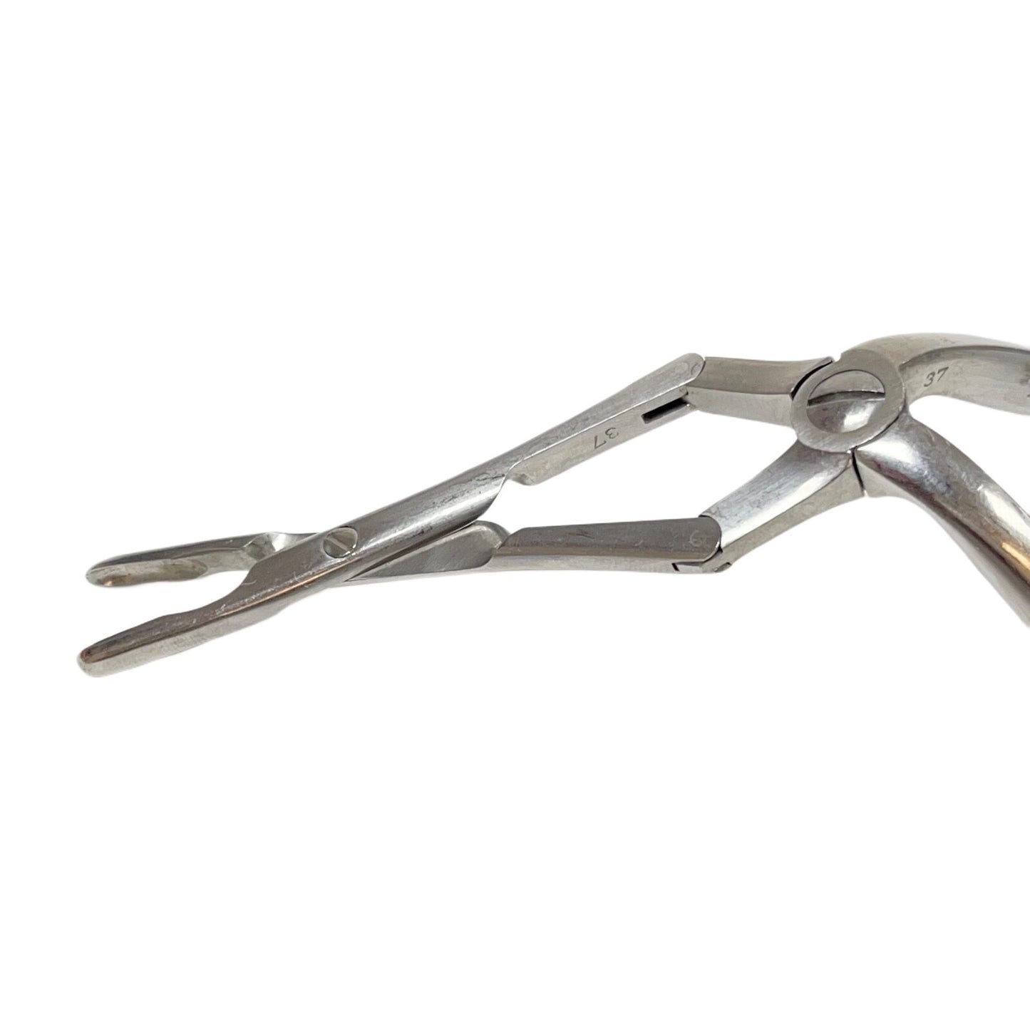 BAUSCH + LOMB / STORZ N3070 Jansen-Middleton Septum Forcep 4mm x 11mm cup 6.9 IN