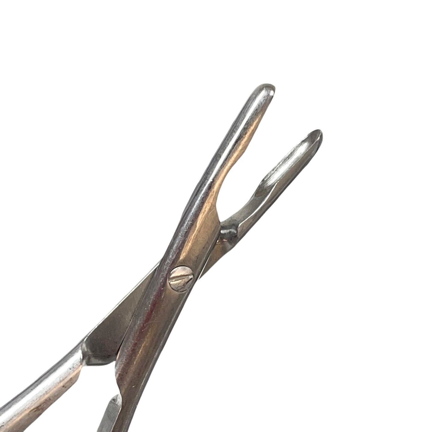 BAUSCH + LOMB / STORZ N3070 Jansen-Middleton Septum Forcep 4mm x 11mm cup 6.9 IN