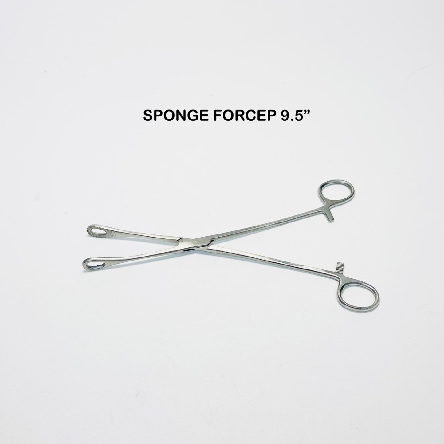 Sponge Holding Forceps Straight Serrated 9.5" Stainless Steel ( LOT OF 13 )