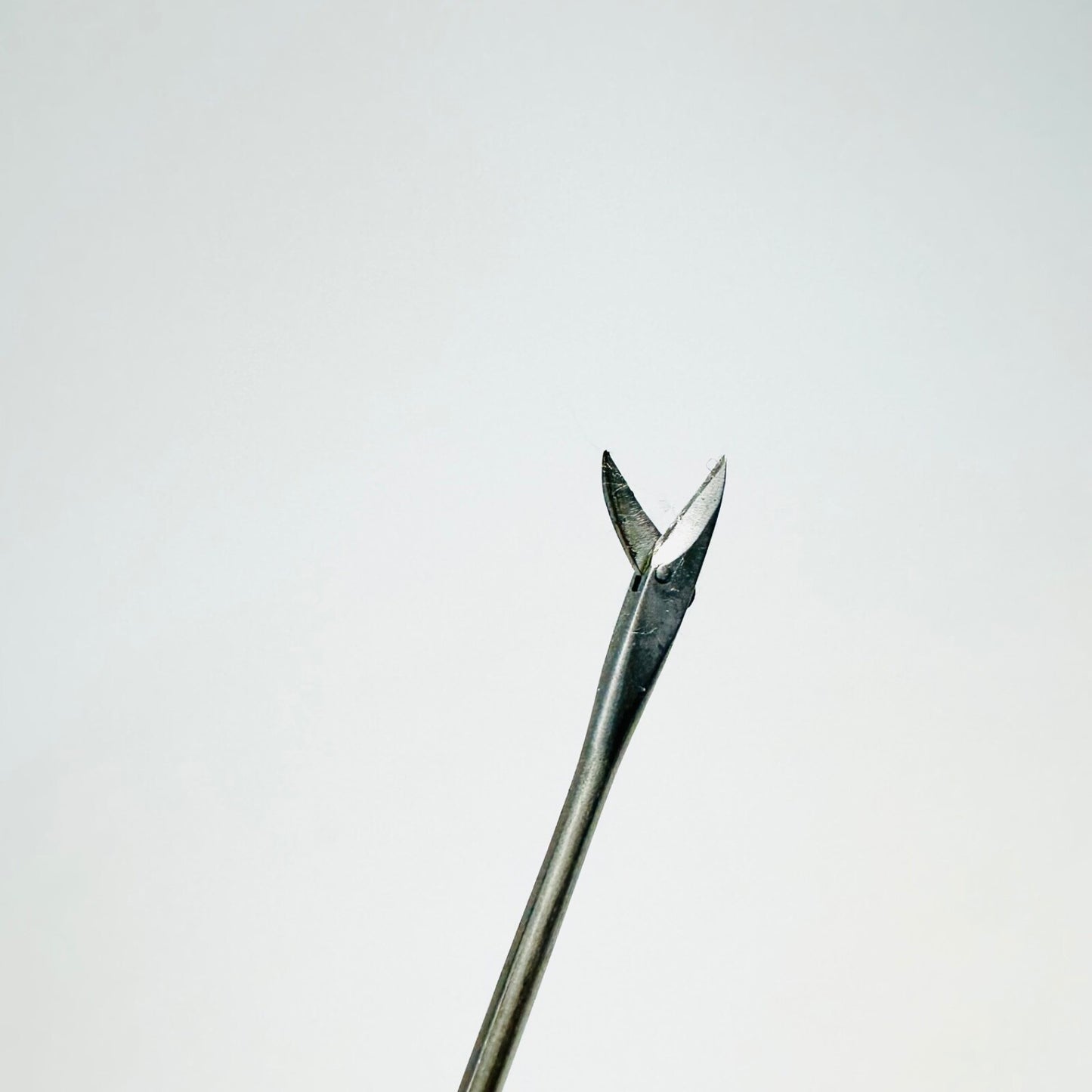 Jarit 460-248 Jako Microlaryngeal Scissor Curved Right, Working Length, 9-3/4"