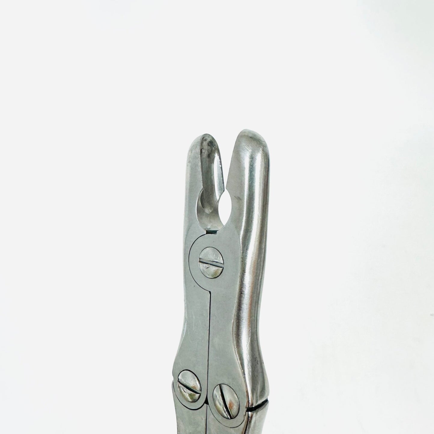 JARIT 230-230 Stille Luer Rongeur 10mm Bite, Straight, 8-3/4" Instrument