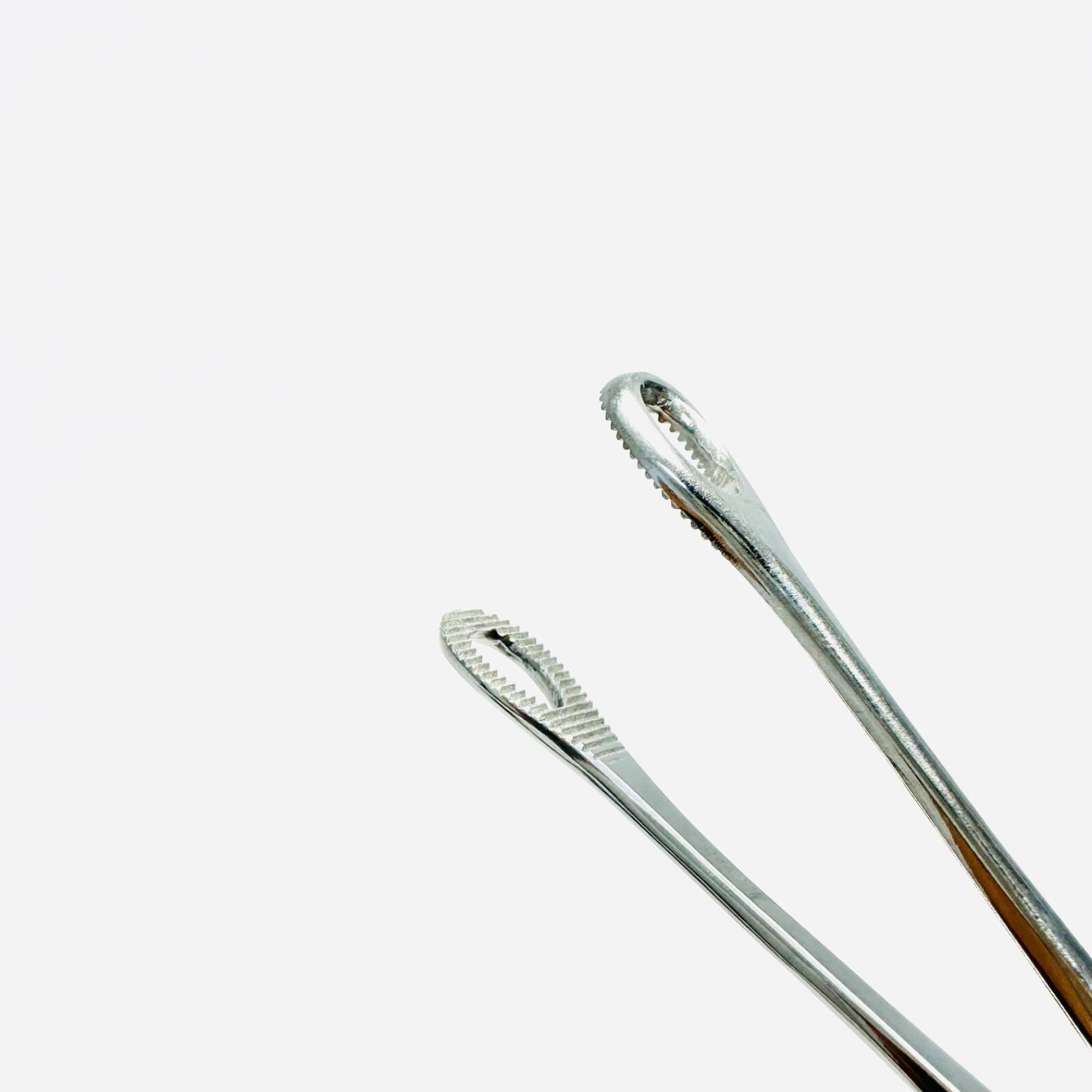 Centurion 66360 SPONGE FORCEPS 9.5 Inch Instrument