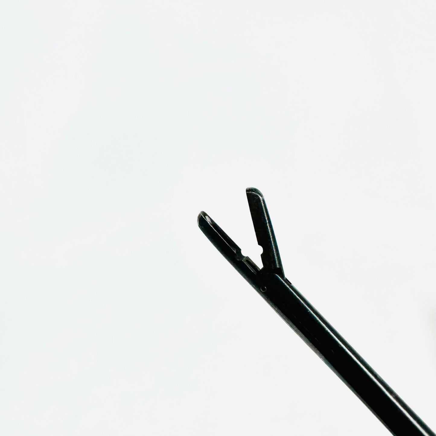 SPO24-0006 Pituitary Straight Forceps 2 X 10mm Cup, Black Instrument