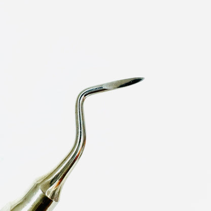 KLS 42-505-02 Friedman Root Elevator Fig. 2L Instrument