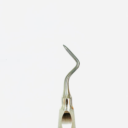 KLS 42-505-02 Friedman Root Elevator Fig. 2L Instrument