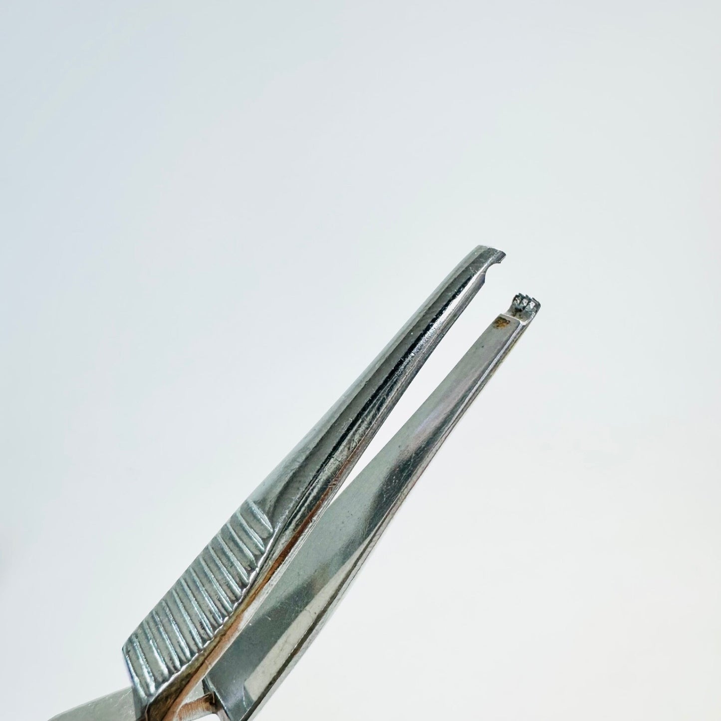 SKLAR Hegenbarth Applying Forceps 5" , 3-4 TEETH Instrument