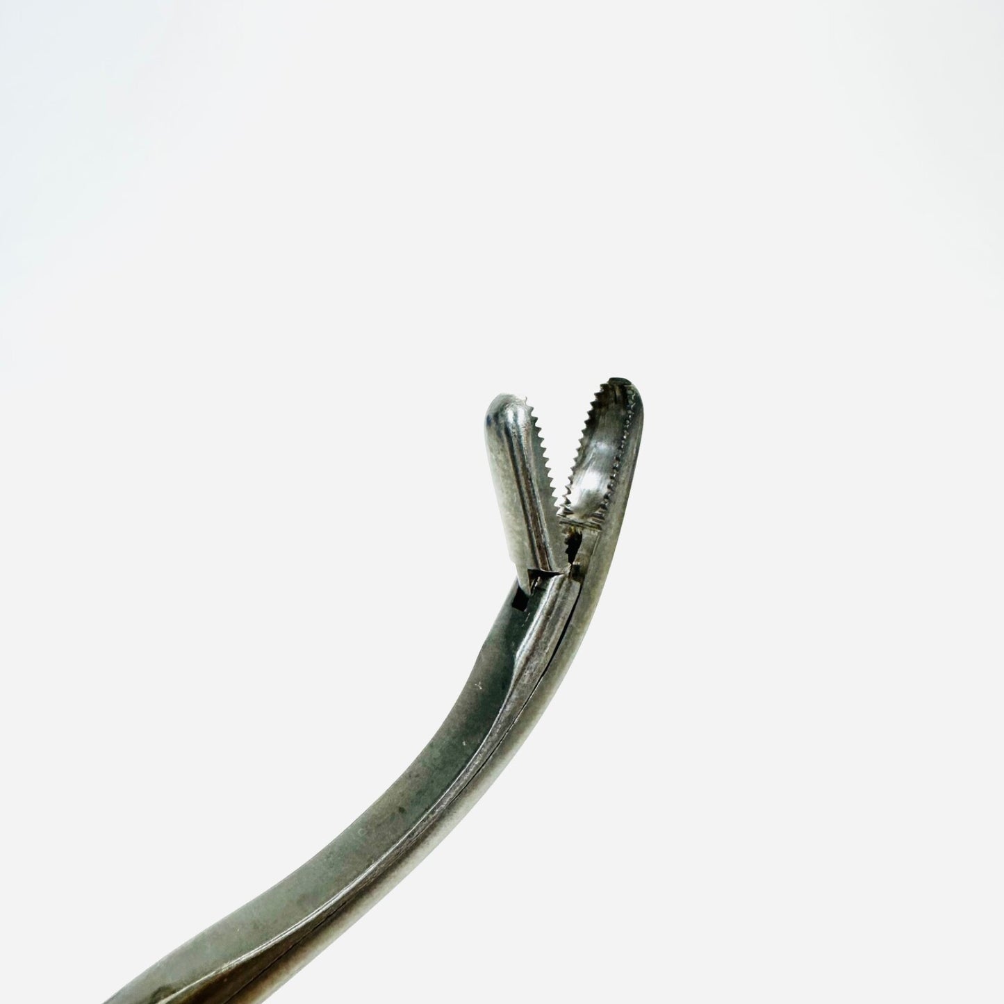 Serrated Upside Curved Rongeur Stainless Steel 12 Inch Instrument