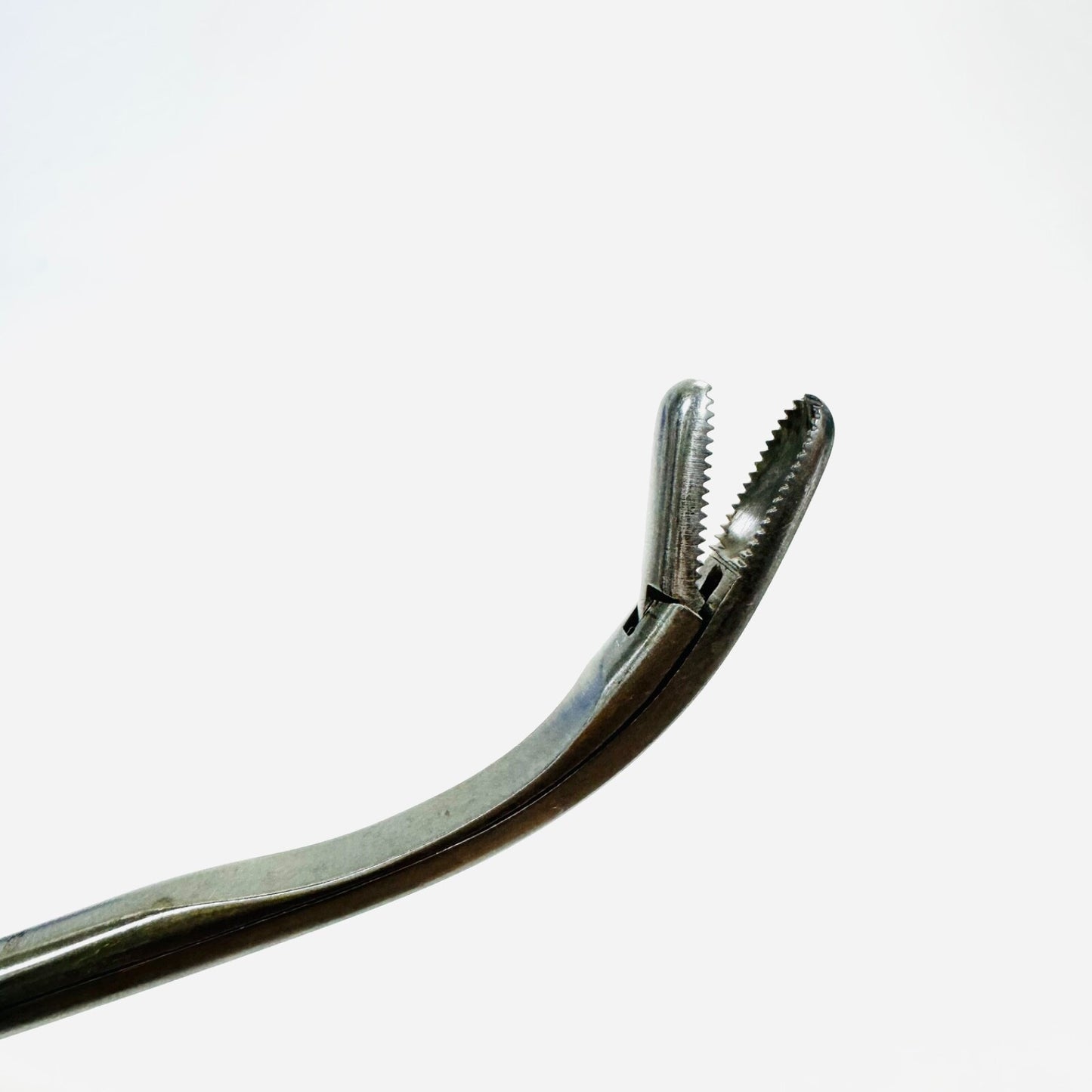 Serrated Upside Curved Rongeur Stainless Steel 12 Inch Instrument