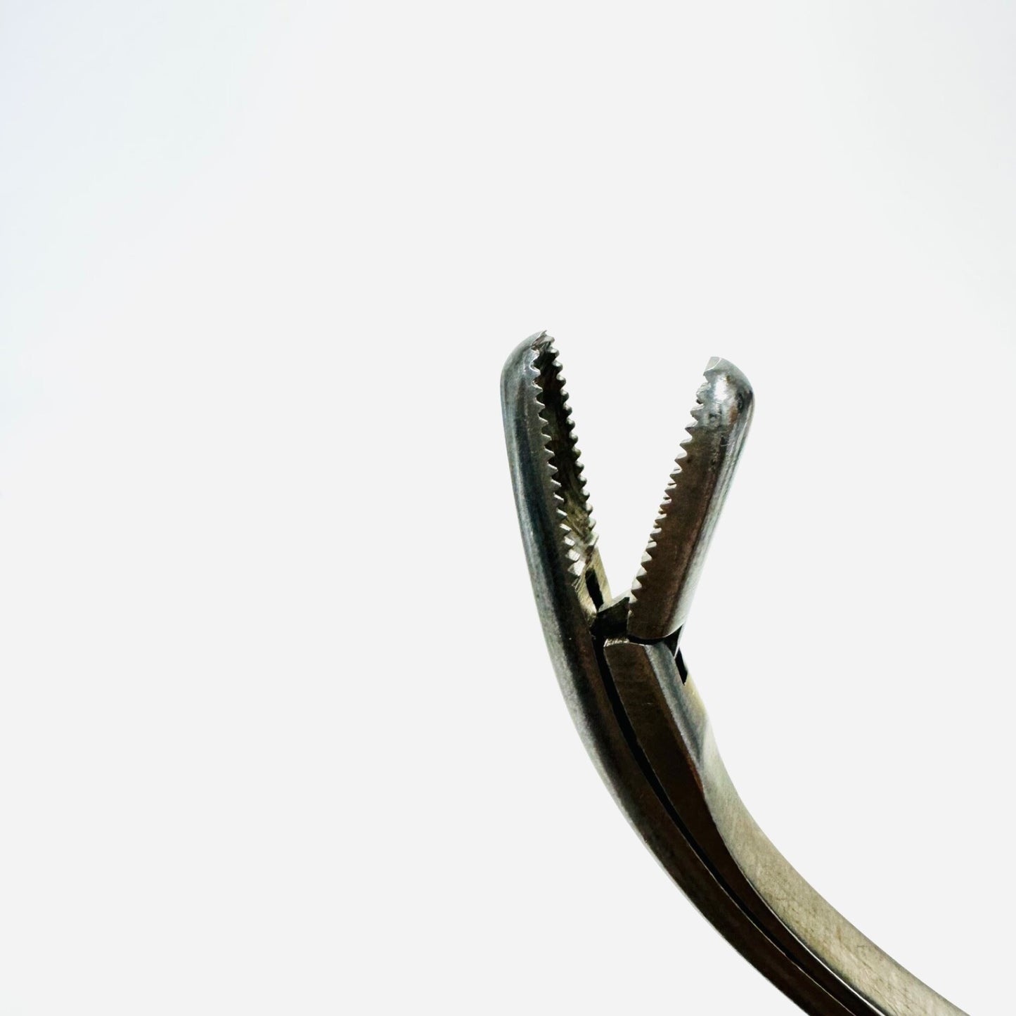 Serrated Upside Curved Rongeur Stainless Steel 12 Inch Instrument