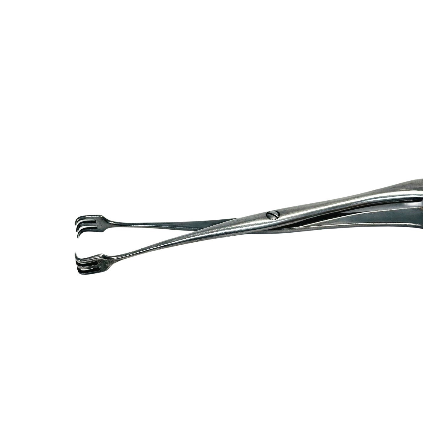 Lawton Tivnen Tonsil Seizing Forceps Instrument