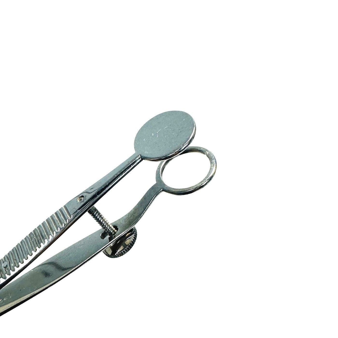 Storz E2610 Francis Chalazion Forceps 17mm wide lower plate 3.8" Instrument