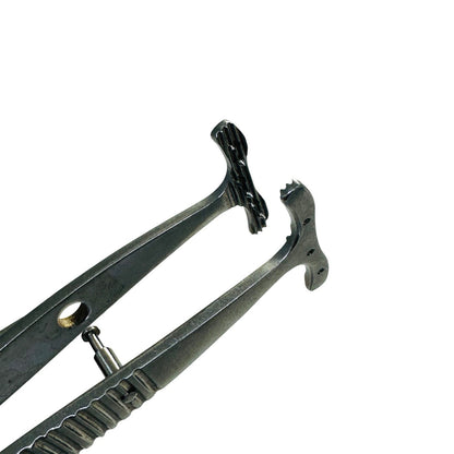 Mueller / Putterman-type muscle forceps and clamp 3 3/4"