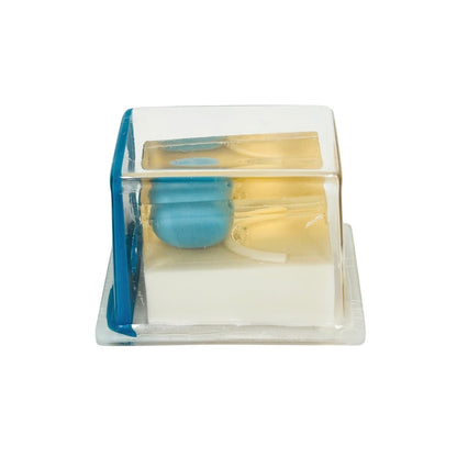 CIRS 053 Tissue-Equivalent Ultrasound Prostate Phantom