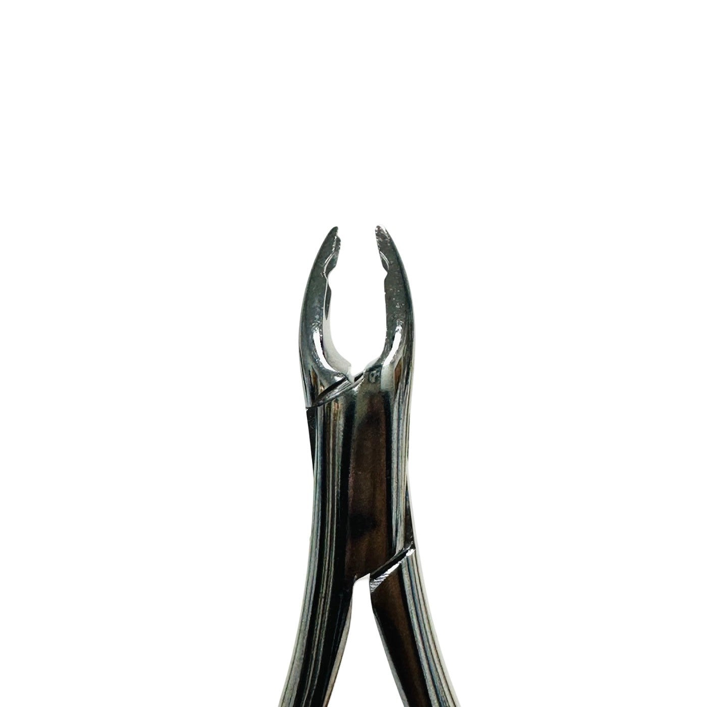 Kls Martin 41-150-08 ZF Extracting, Upper Universal, No. 150As, Serrated Forcep