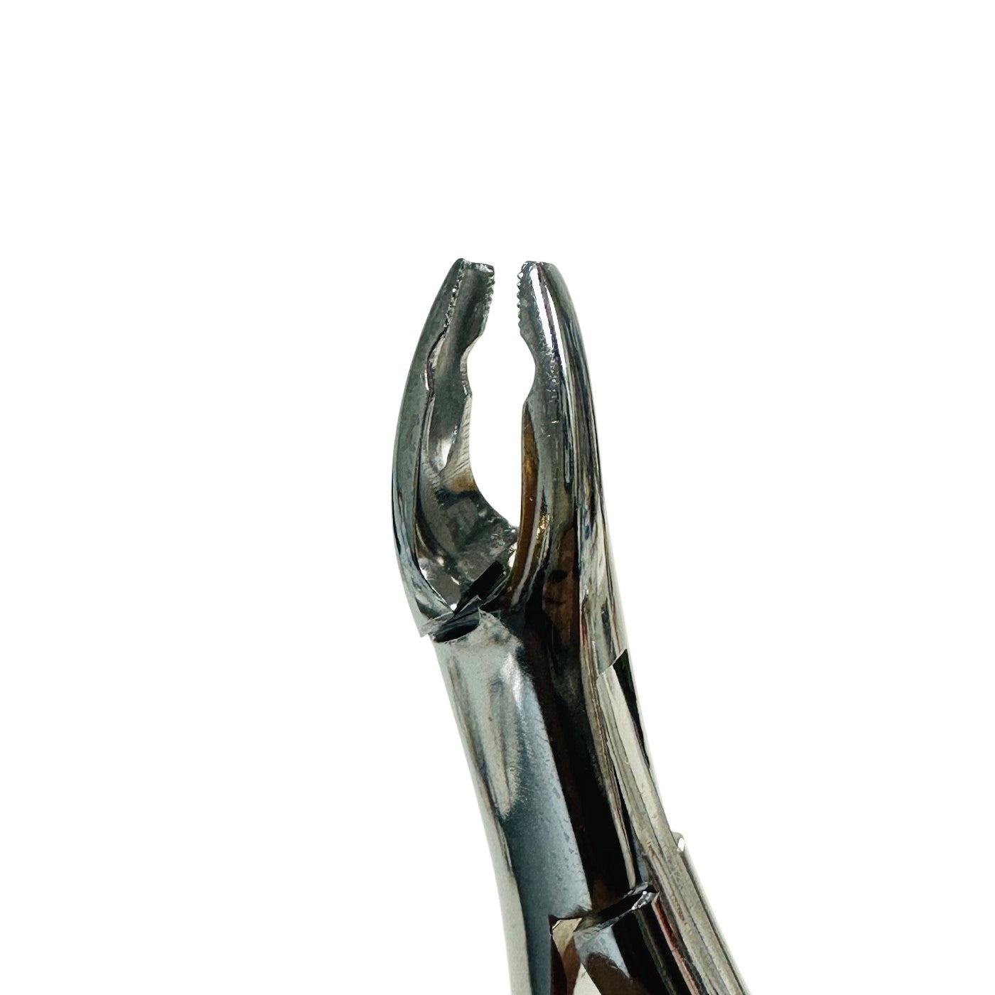 Kls Martin 41-150-08 ZF Extracting, Upper Universal, No. 150As, Serrated Forcep